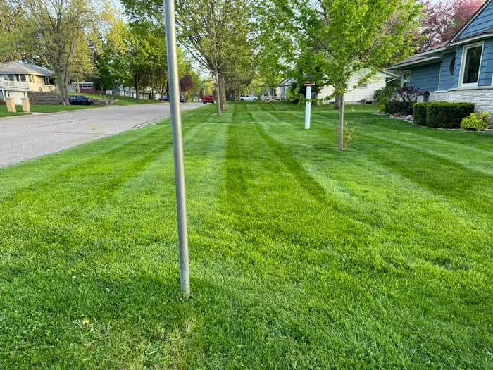 RTB Lawn Care LLC Picture 3