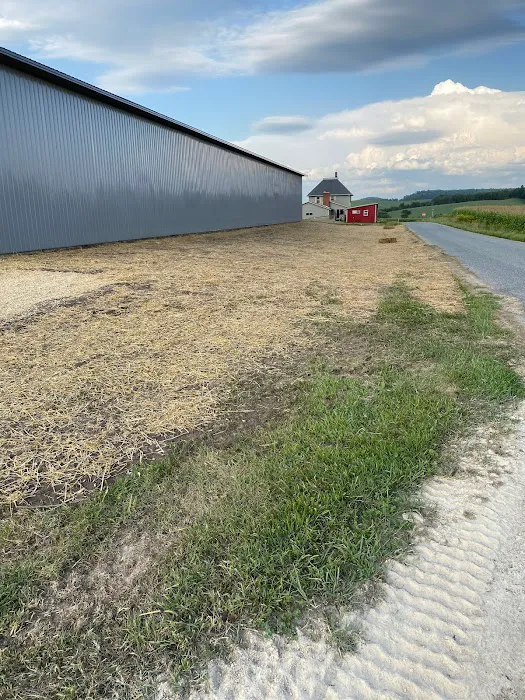 Hammer Dirt Works LLC Picture 5