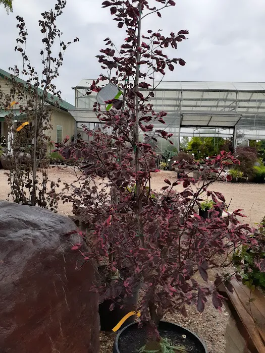 Frese Ornamental Nursery Picture 8