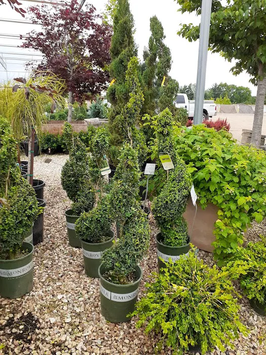 Frese Ornamental Nursery Picture 6