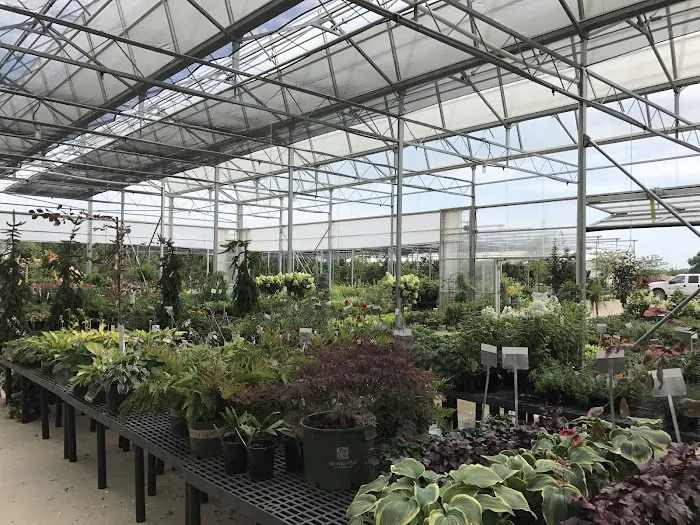 Frese Ornamental Nursery Picture 10