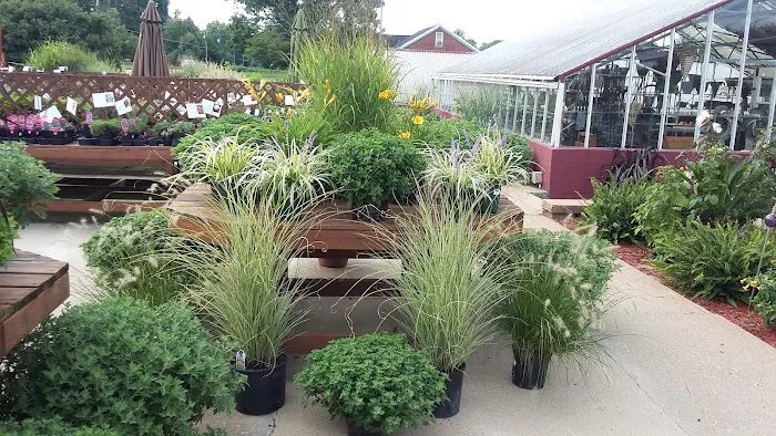 Bergman Nurseries Inc Picture 1