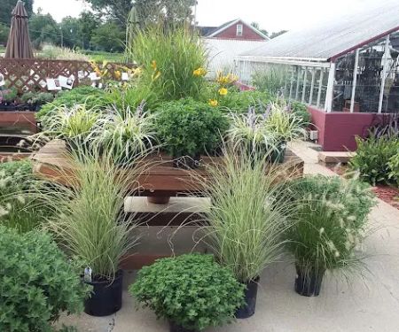 Bergman Nurseries Inc