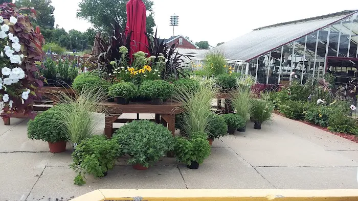 Bergman Nurseries Inc Picture 5
