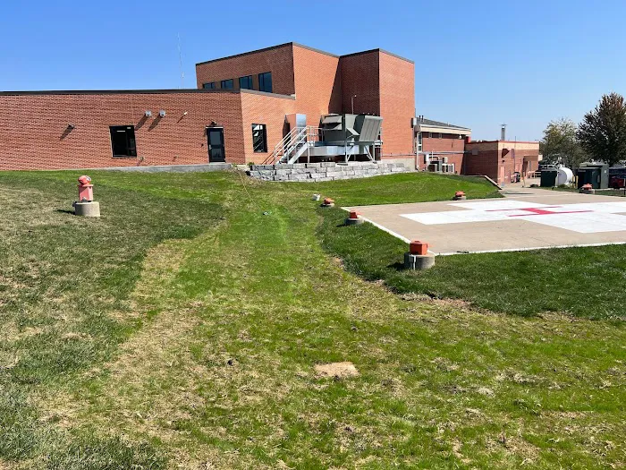 Daisy Dew Landscaping Picture 4