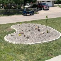 Daisy Dew Landscaping ico