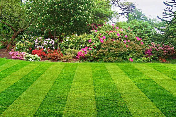 Fast Blade Lawn Care & Landscape LLC. Picture 1