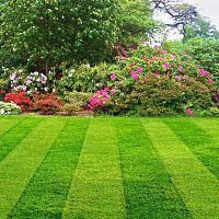 Fast Blade Lawn Care & Landscape LLC. ico