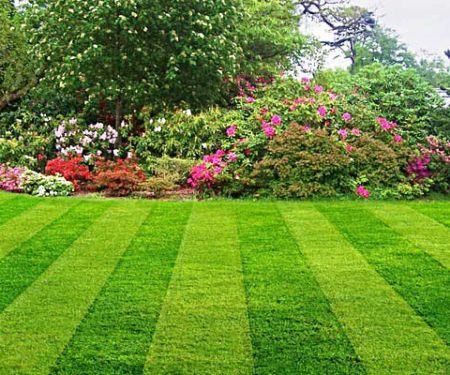 Fast Blade Lawn Care & Landscape LLC.