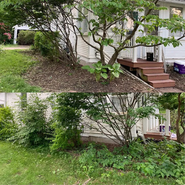 Fast Blade Lawn Care & Landscape LLC. Picture 5