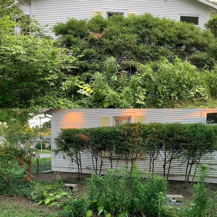 Fast Blade Lawn Care & Landscape LLC. Picture 10