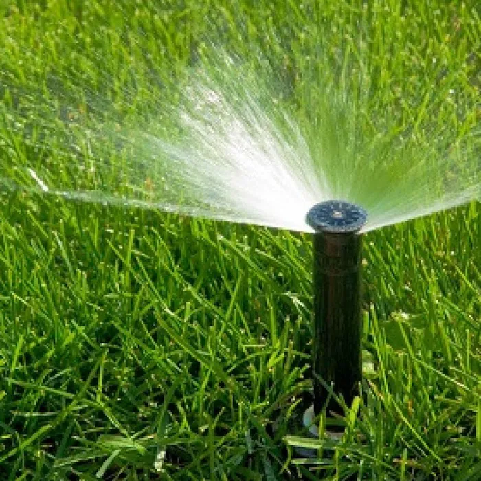 Turf Masters Lawn & Landscape, LLC Picture 2