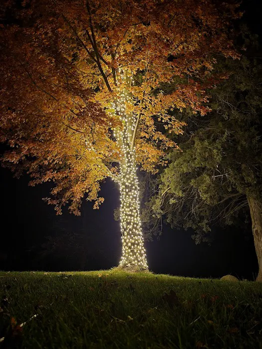 Holiday Bright Nights Picture 8