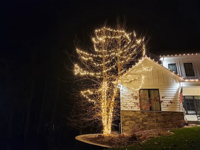 Holiday Bright Nights Picture 4