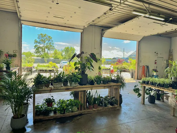 Monarch Nursery and Garden Center Picture 9