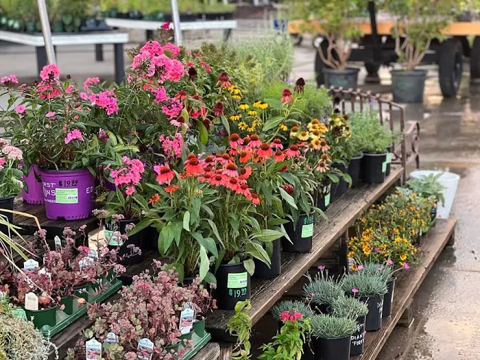 Monarch Nursery and Garden Center Picture 6