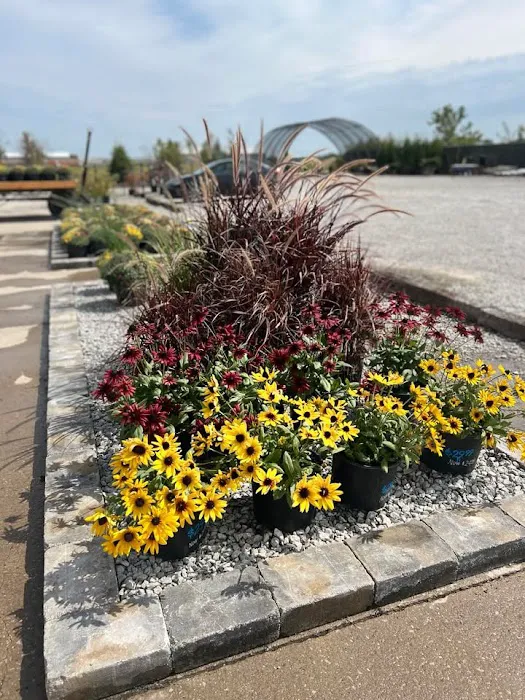 Monarch Nursery and Garden Center Picture 8