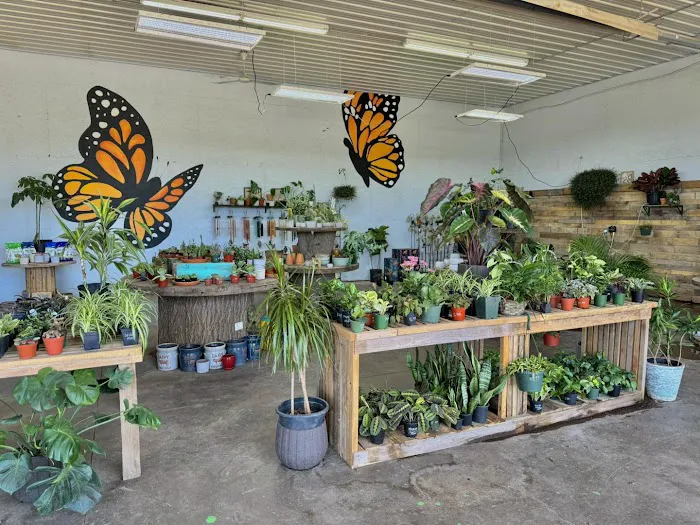 Monarch Nursery and Garden Center Picture 2
