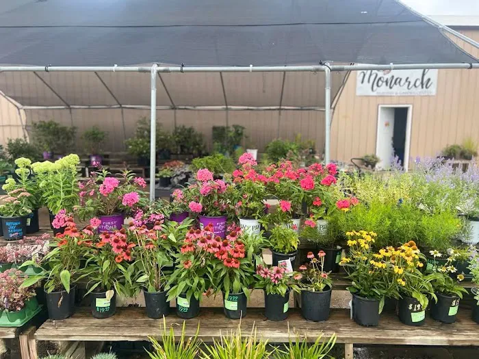 Monarch Nursery and Garden Center Picture 1