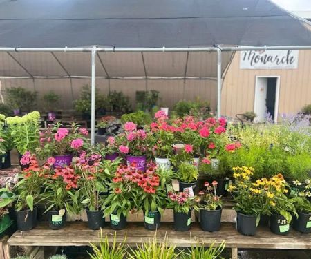 Monarch Nursery and Garden Center