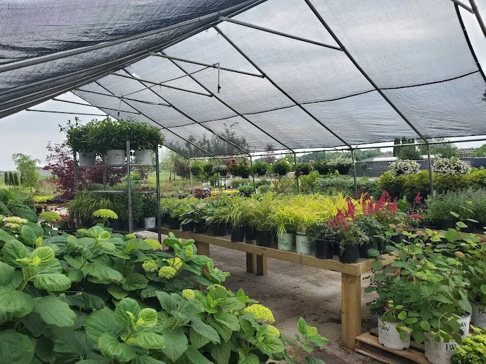 Monarch Nursery and Garden Center Picture 5