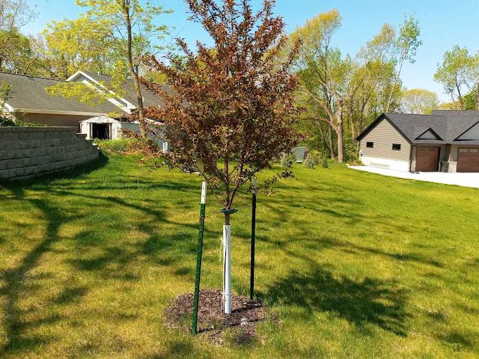 Prairie Rose Lawn & Landscape Picture 5