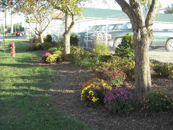 Quality Care Landscape Picture 7