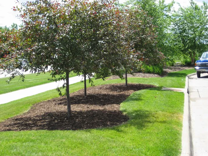 Quality Care Landscape Picture 10