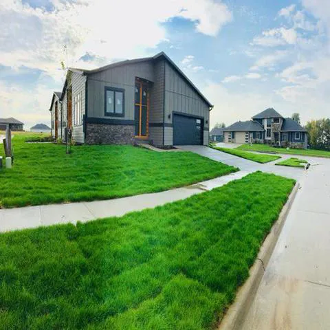 Carew Landscaping Picture 9