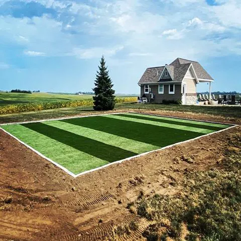 Carew Landscaping Picture 7
