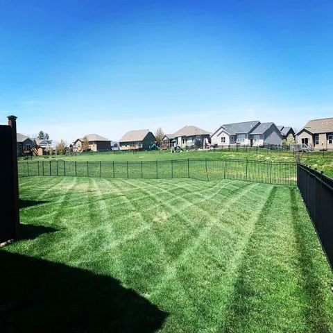 Carew Landscaping Picture 2