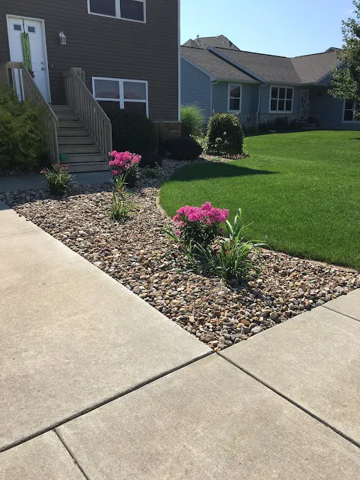 Carew Landscaping Picture 10