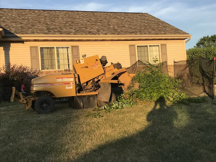 Guell Stump Grinding and Tree Service Picture 2