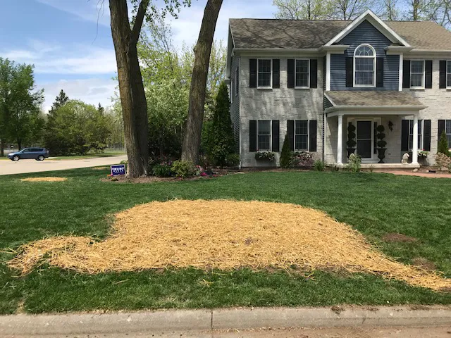 Guell Stump Grinding and Tree Service Picture 7