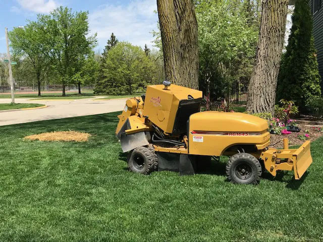 Guell Stump Grinding and Tree Service Picture 9