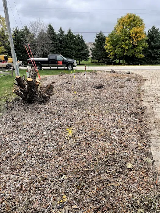 Guell Stump Grinding and Tree Service Picture 3