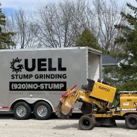 Guell Stump Grinding and Tree Service ico