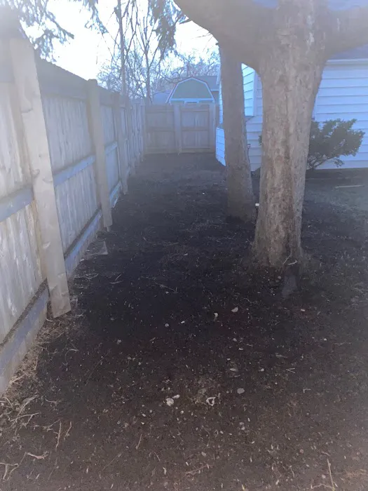Martin's Landscaping/snow removal/small engine repair Picture 8