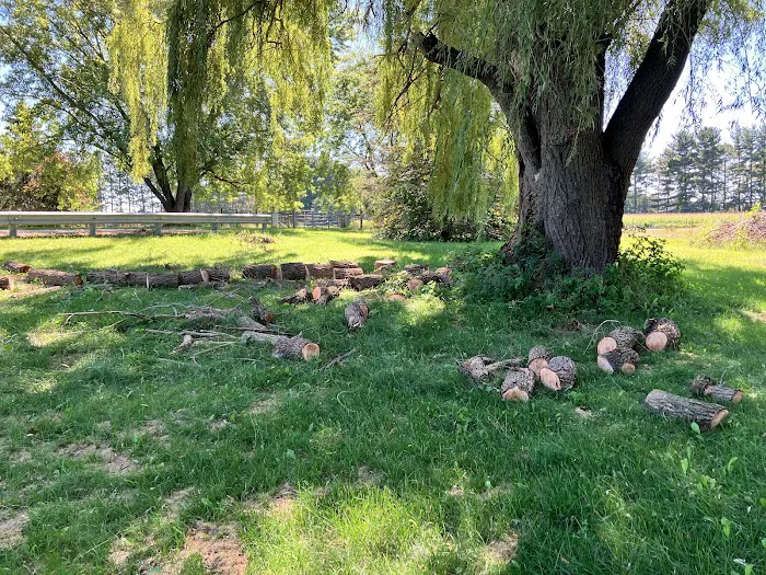Legend Property Maintenance & Lawn Care Picture 3