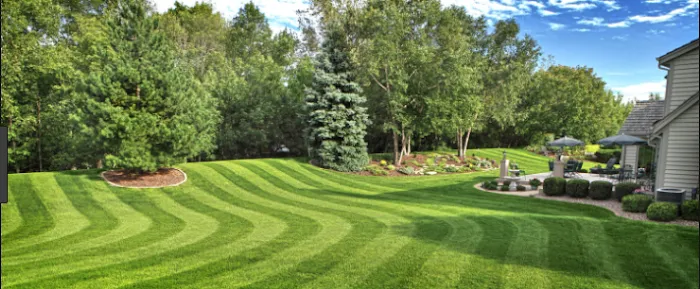 Legend Property Maintenance & Lawn Care Picture 5
