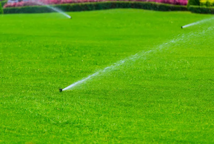 Springs of Living Water Irrigation Picture 3