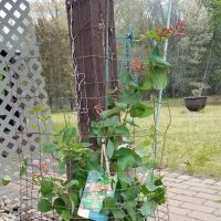 Stuart's Landscaping & Garden Center ico