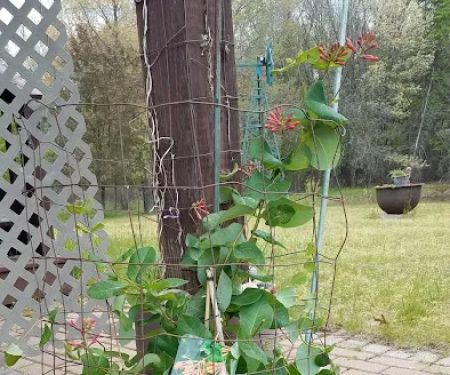Stuart's Landscaping & Garden Center