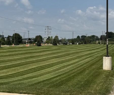 Winnebago Lawn & Landscaping LLC