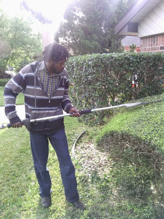 NCREDIBLE TREE + LANDSCAPING Picture 7