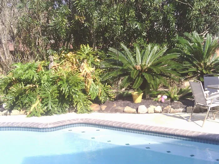 NCREDIBLE TREE + LANDSCAPING Picture 2