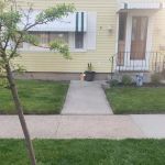 D&L Preservation Solutions