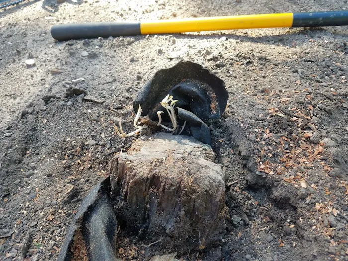 GRIPP'S REPAIRS AND LANDSCAPING L.L.C. Picture 9