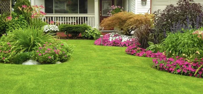 Top Notch Lawn and Maintenance Picture 1