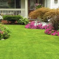 Top Notch Lawn and Maintenance ico